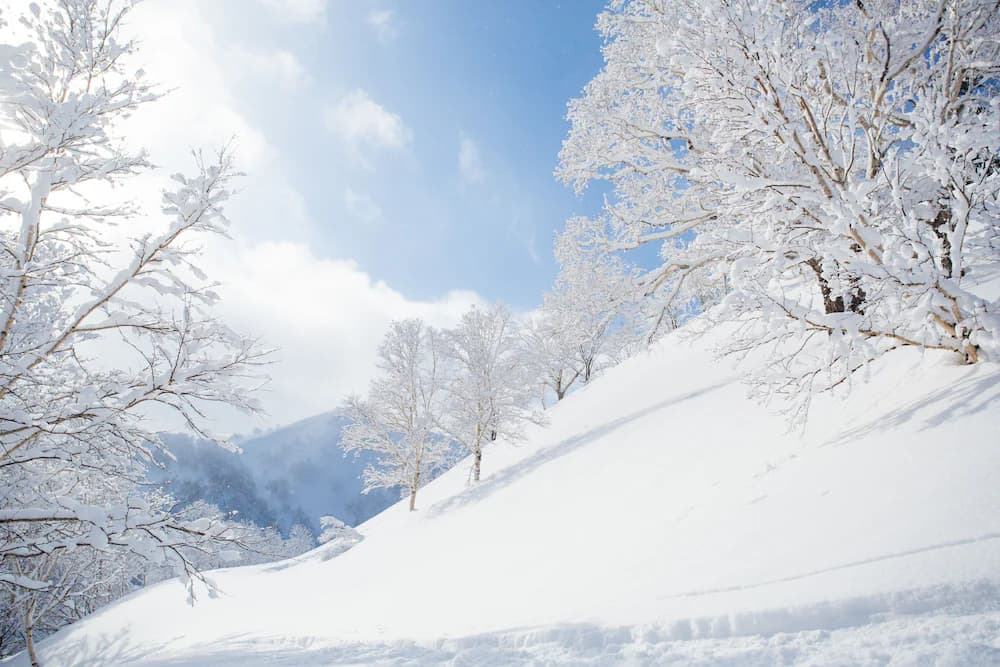 Ski hill
