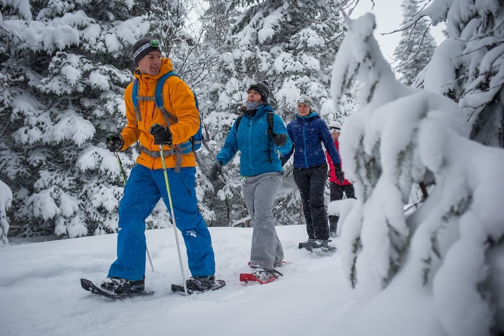Snowshoeing