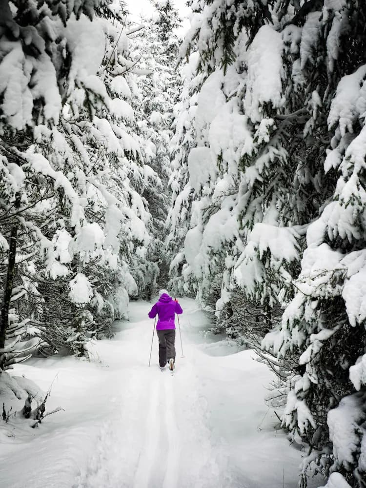 Snow and ski sports