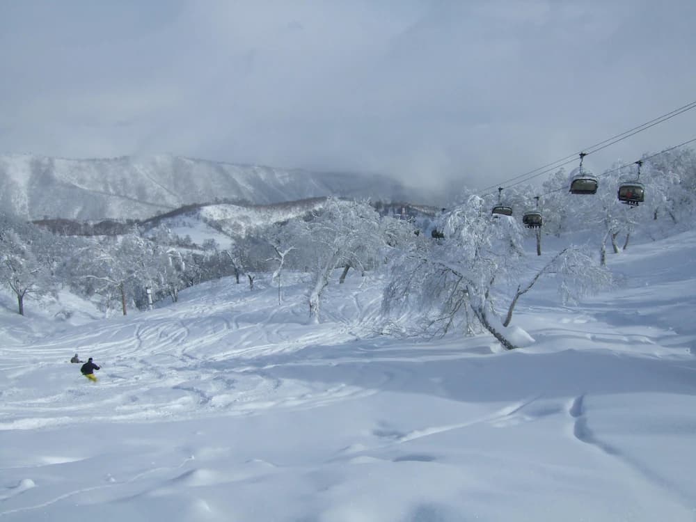 Snow and ski sports