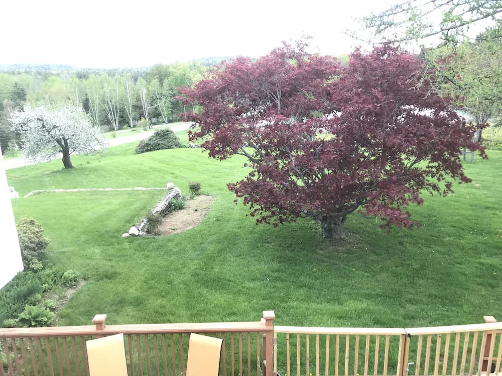 View from room