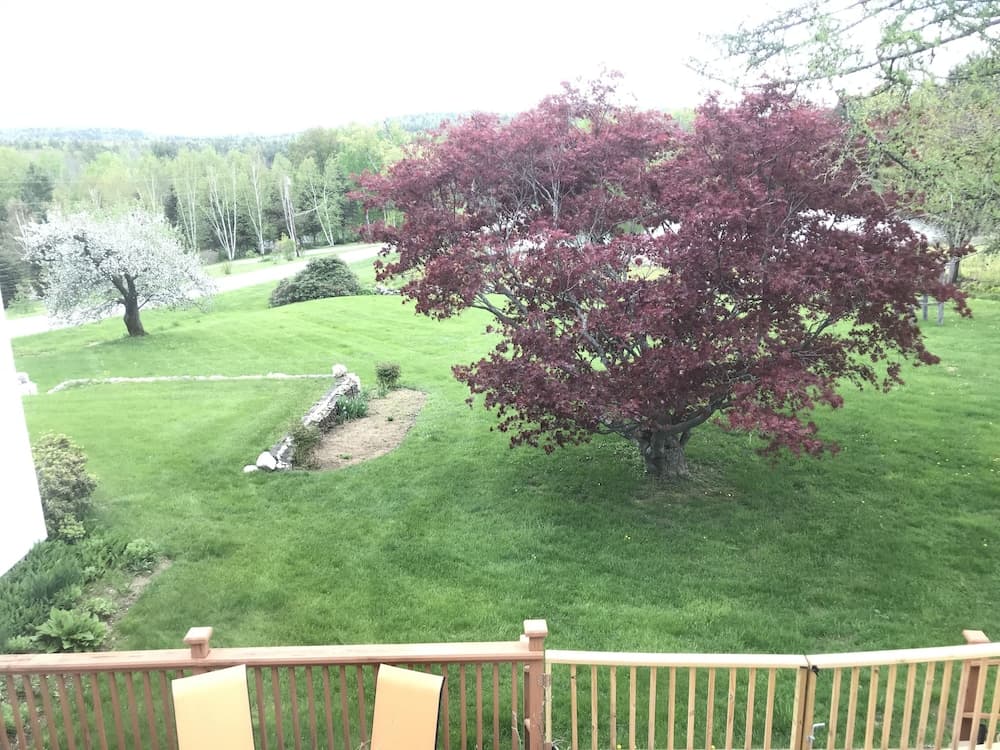 View from room