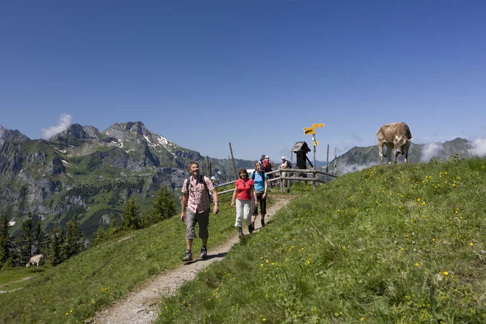 Hiking