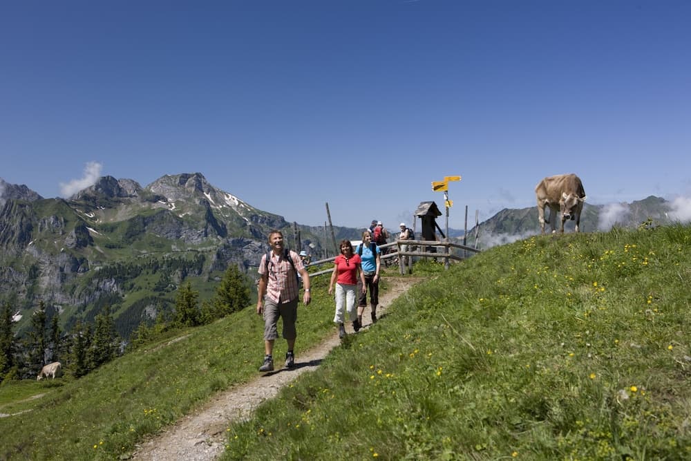 Hiking