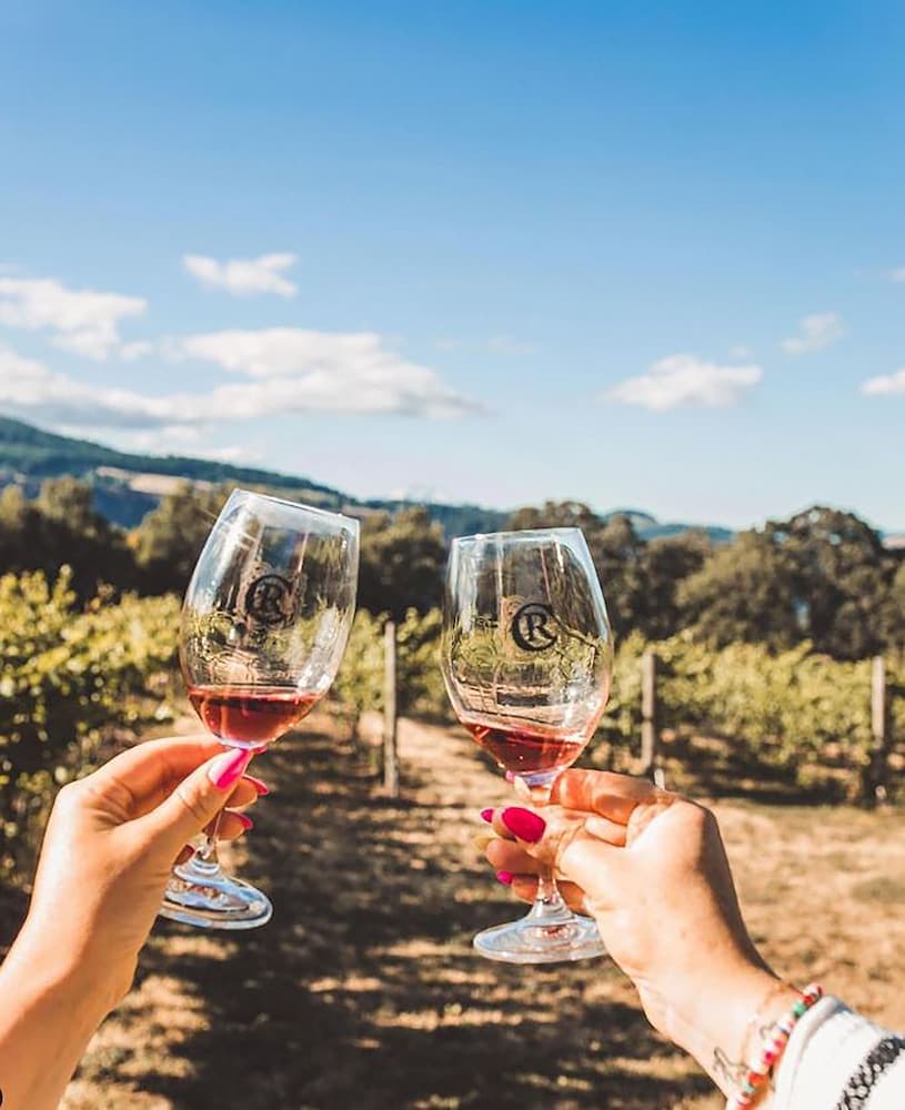 Vineyard