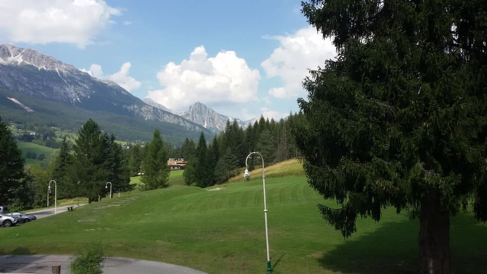View from room
