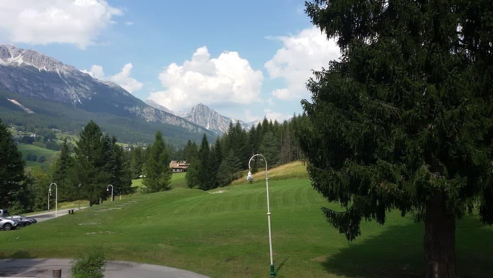 View from room