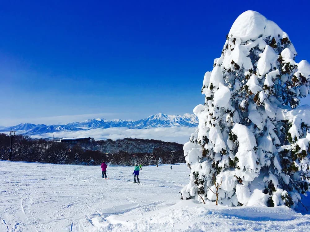 Snow and ski sports