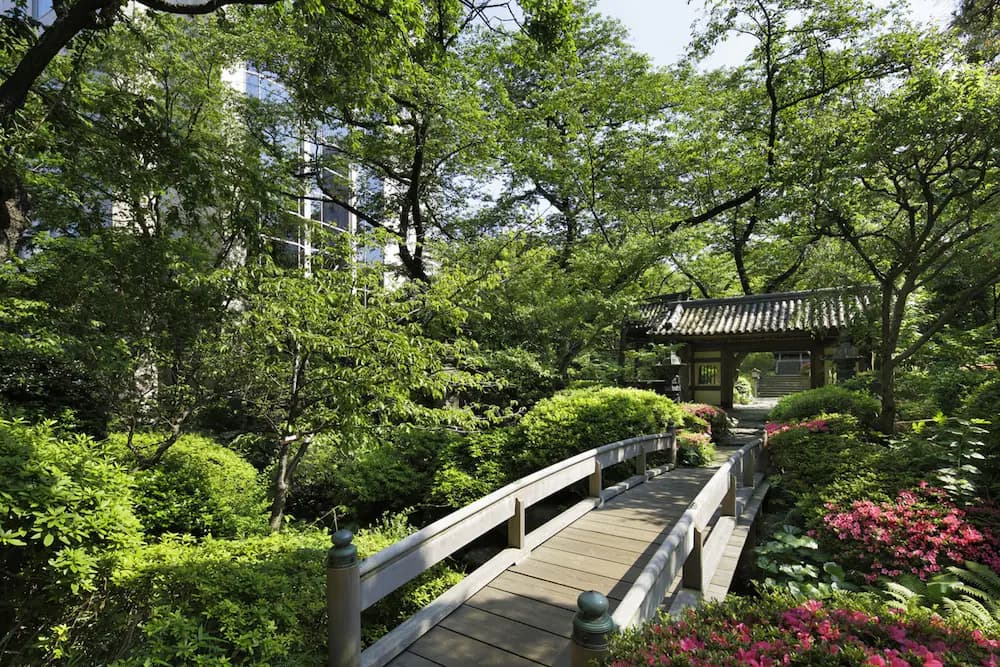 Japanese garden