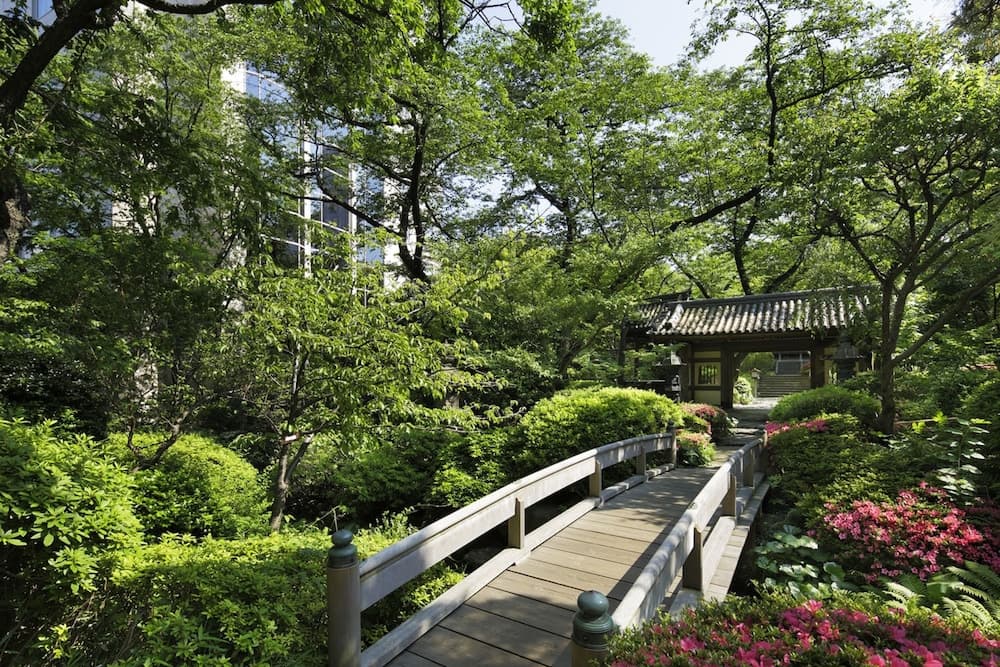 Japanese garden