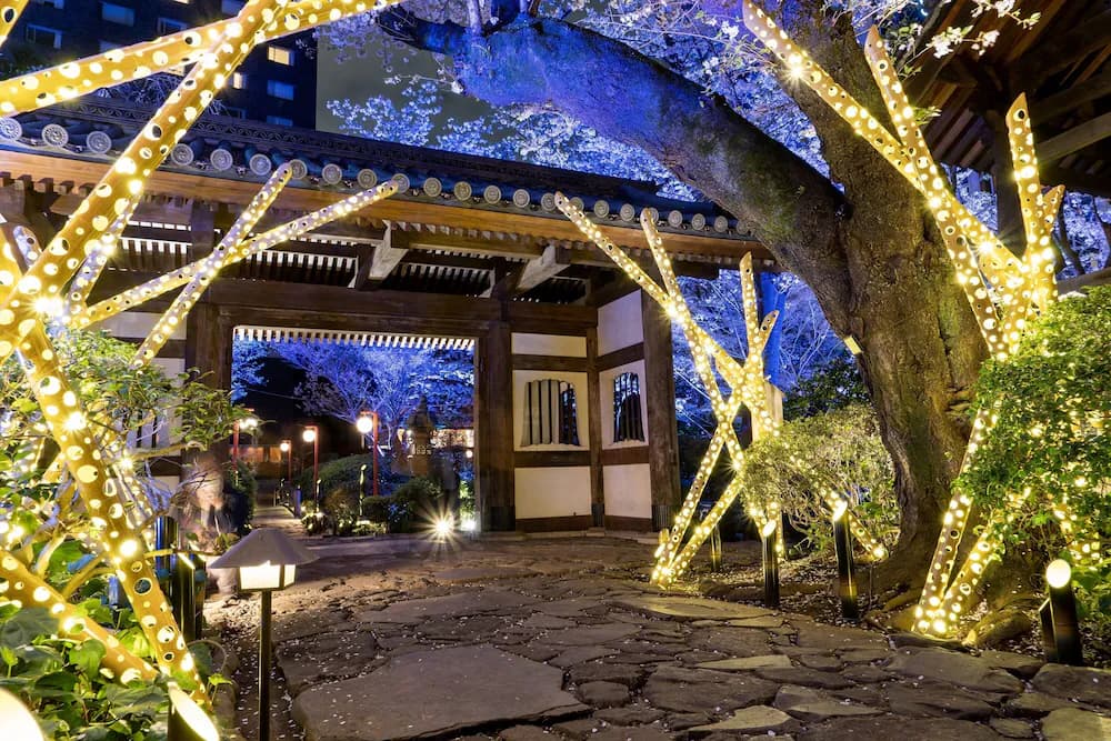 Japanese garden