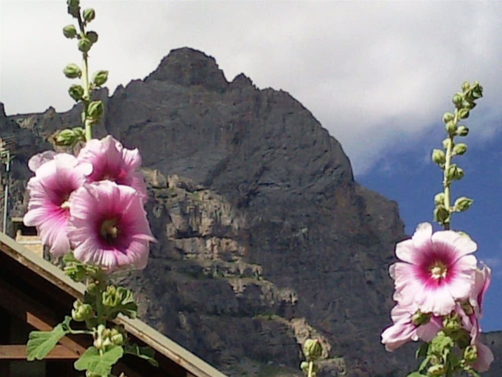 Mountain view