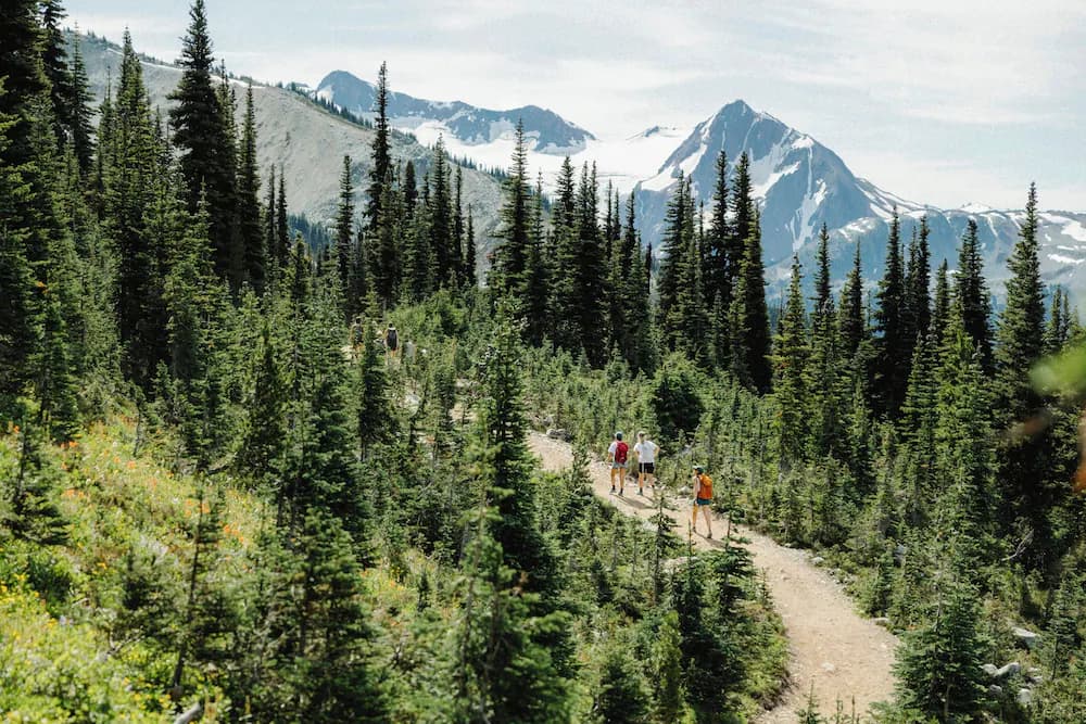 Hiking