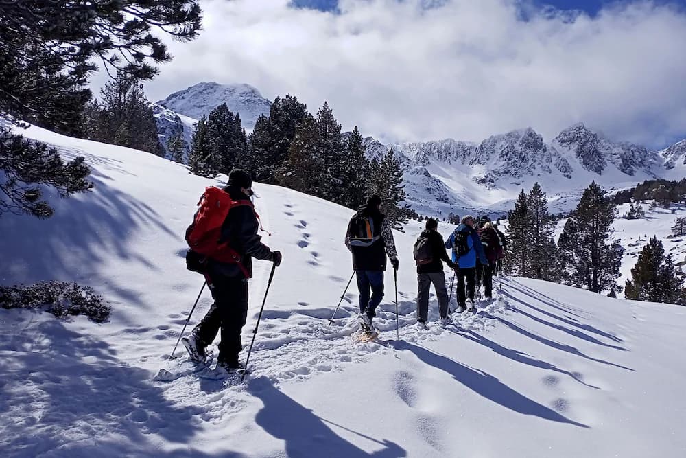 Snowshoeing