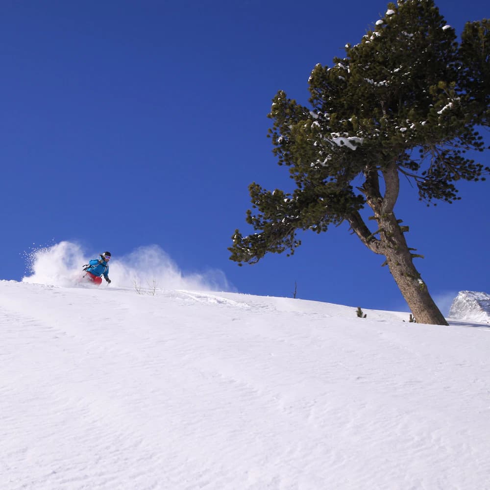 Snow and ski sports