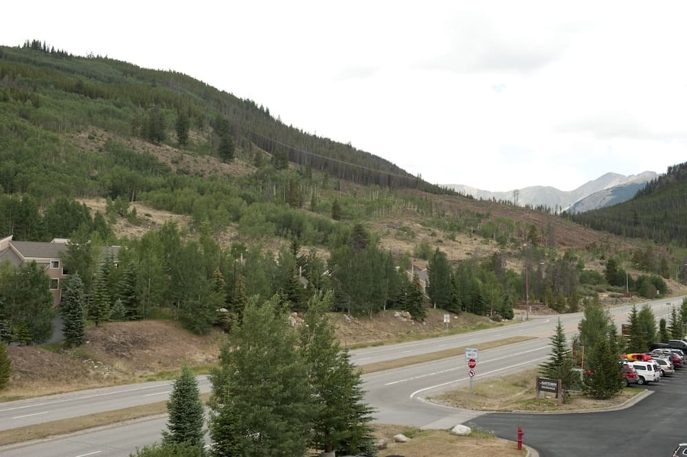 Mountain view