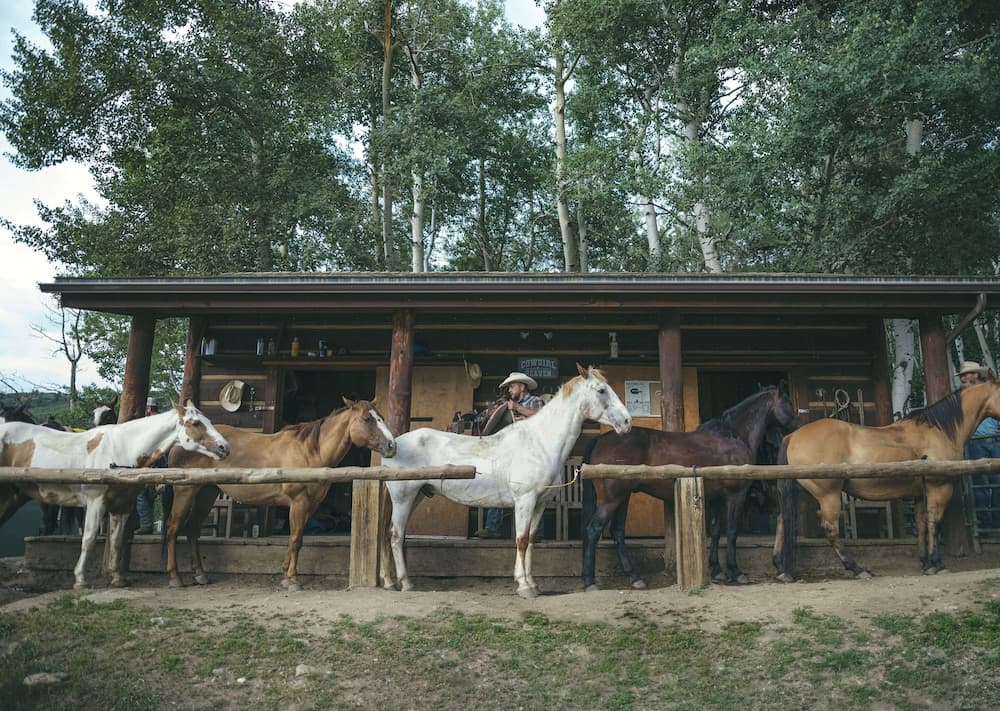 Horseback riding