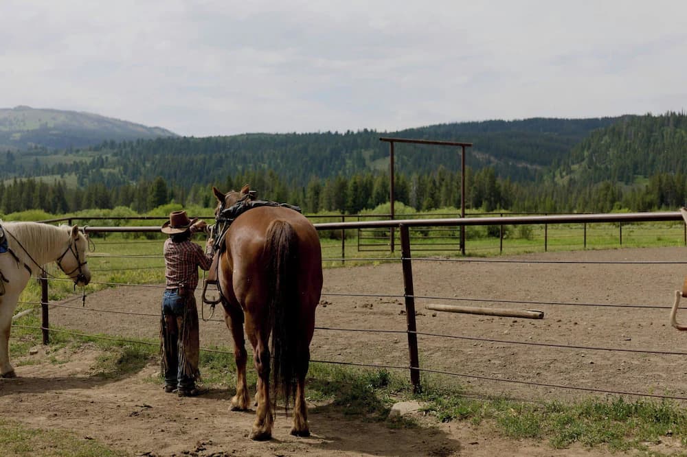 Horseback riding