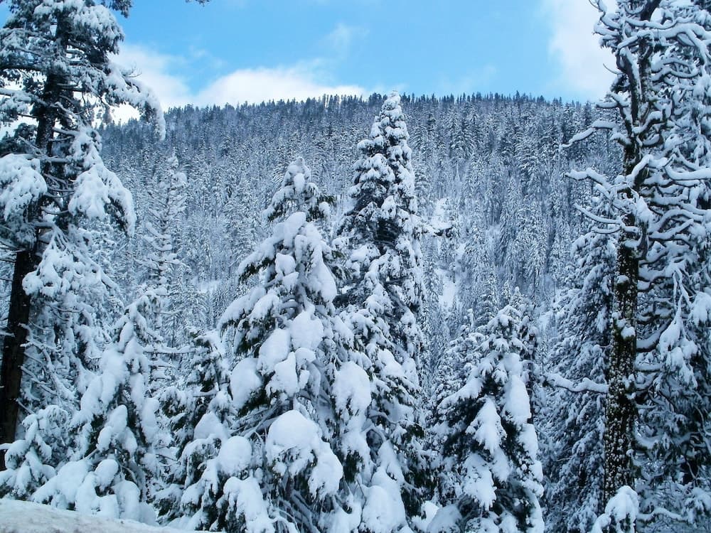 Ski hill