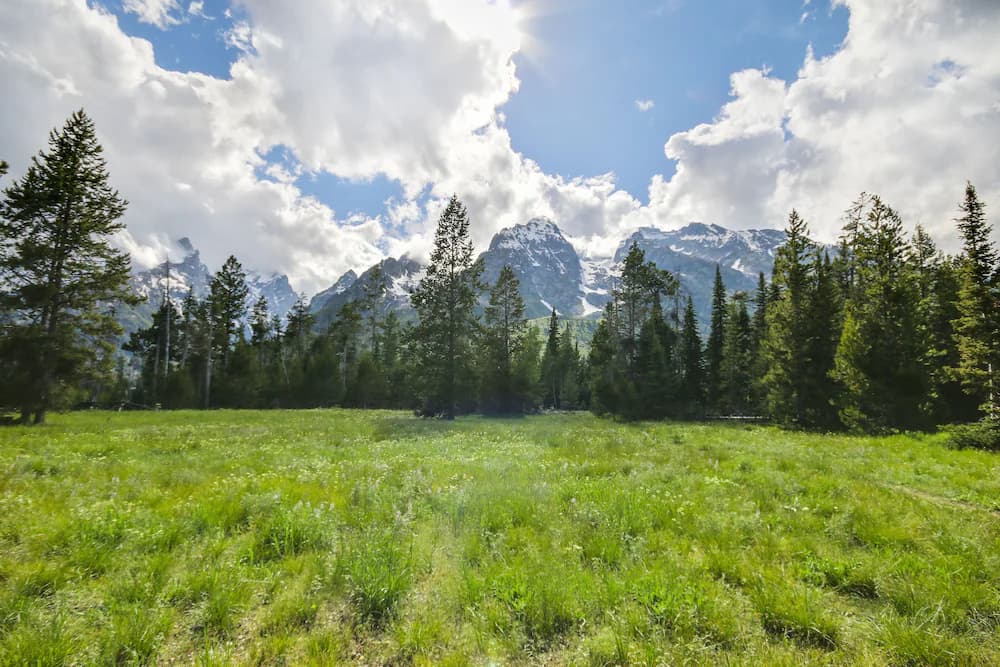 View from property