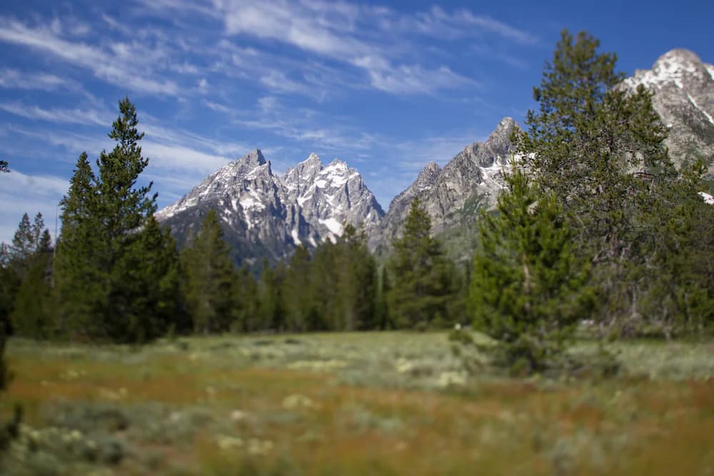 View from property