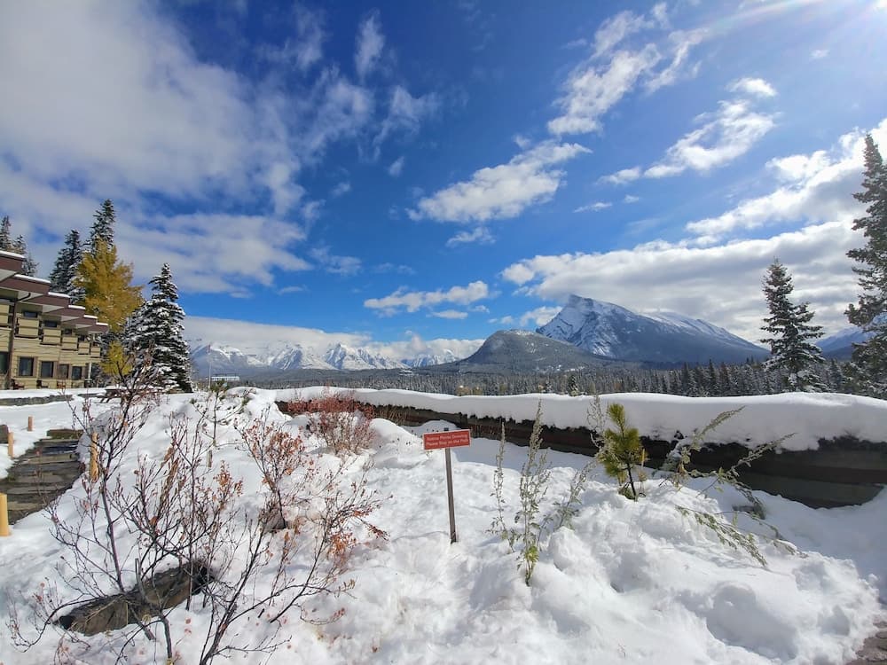 View from property