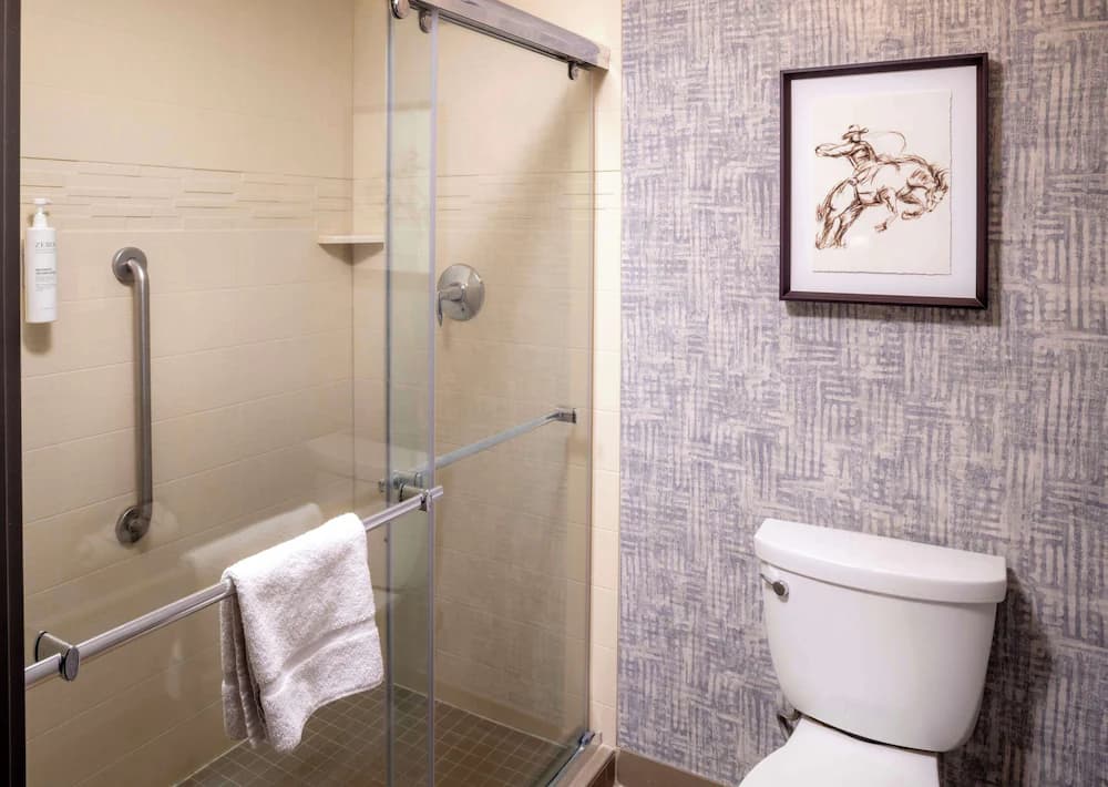 Bathroom shower
