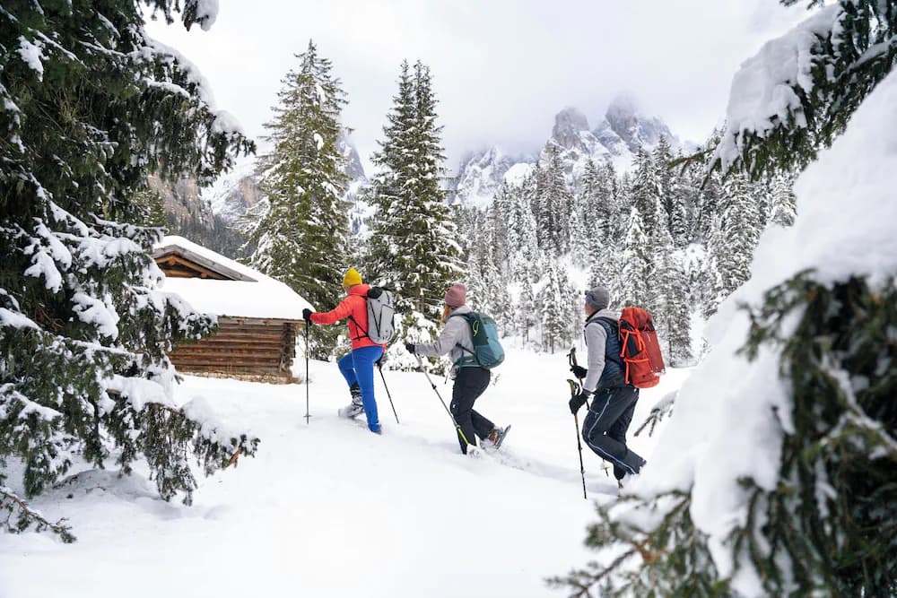 Snowshoeing