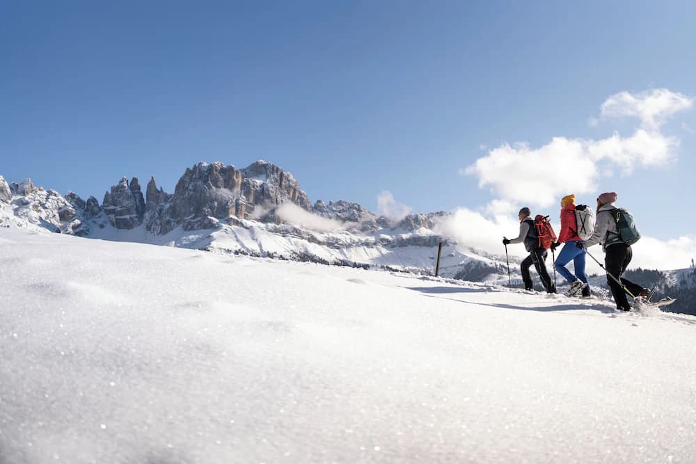 Snowshoeing