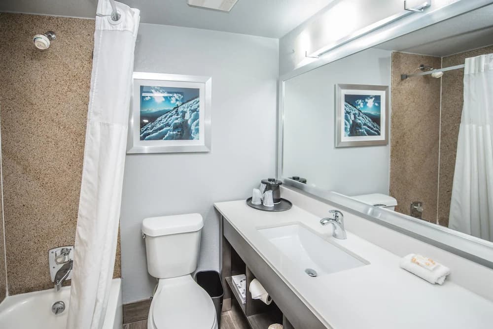 Bathroom shower