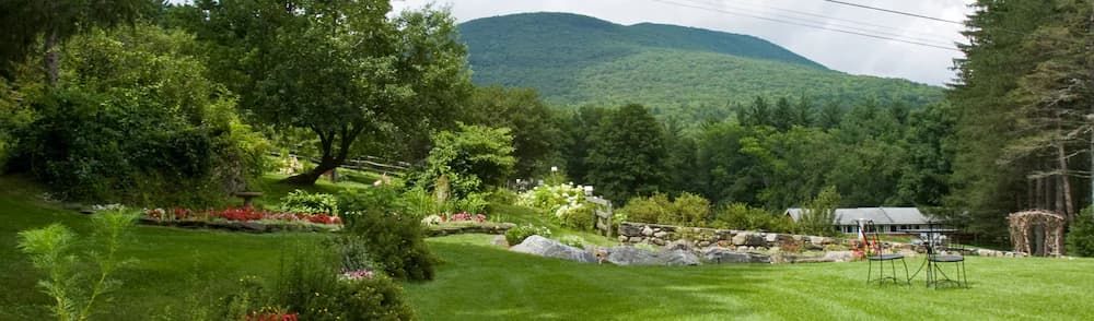 Garden view