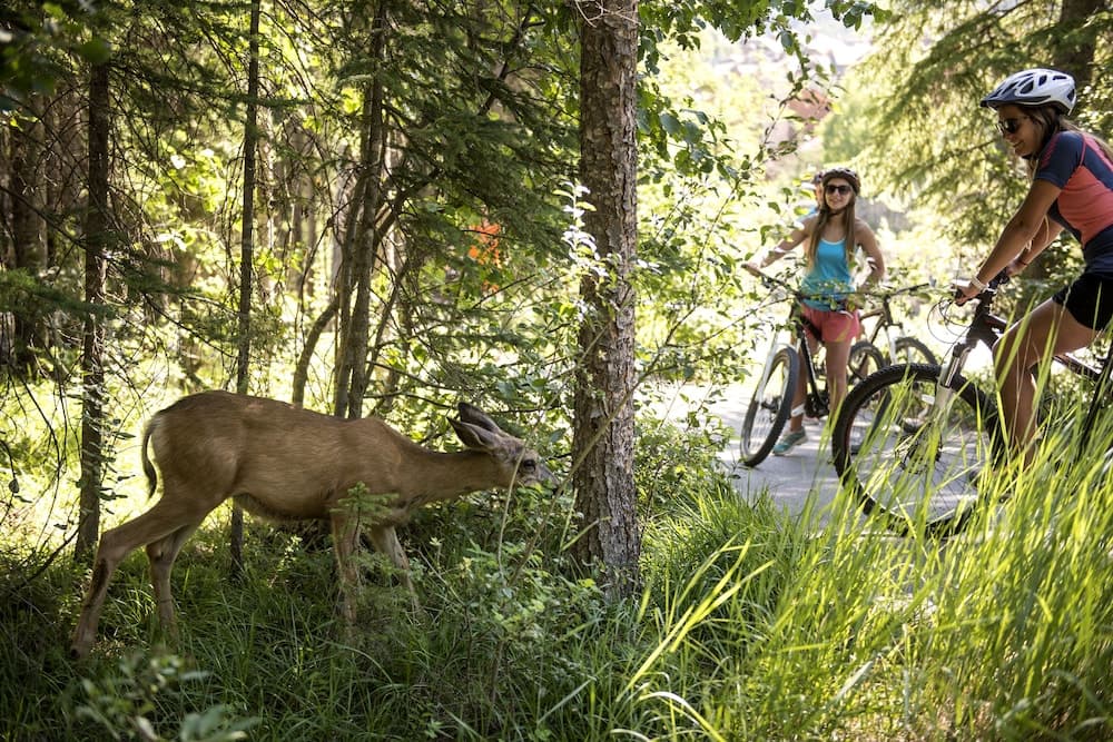 Bicycling