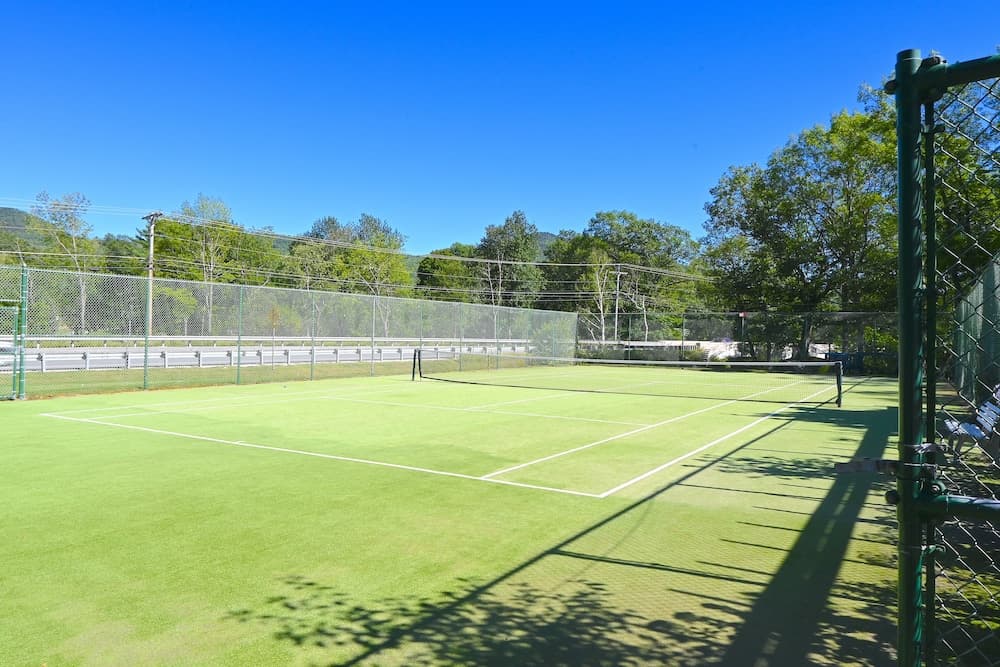 Tennis court