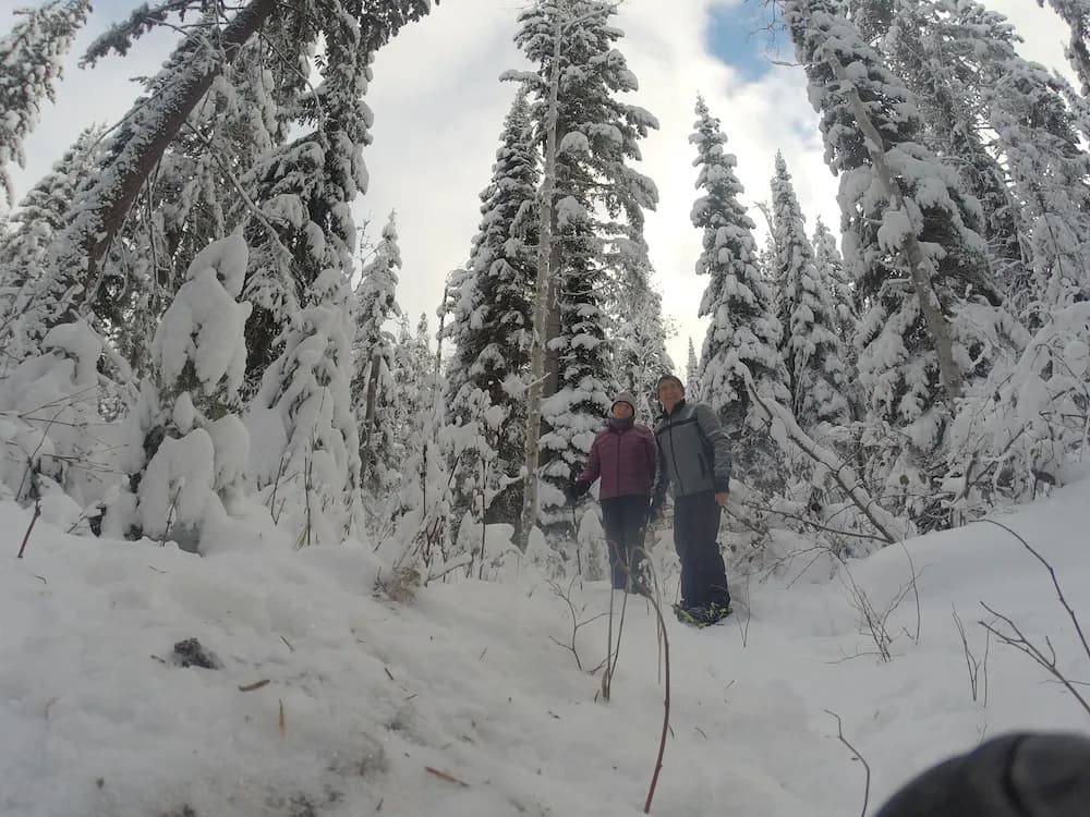 Snowshoeing