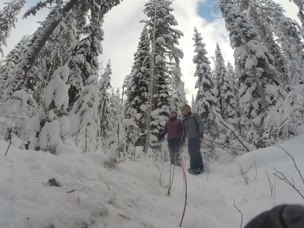 Snowshoeing