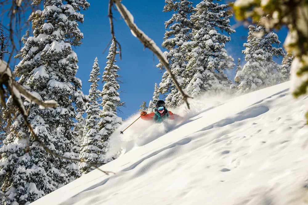 Skiing
