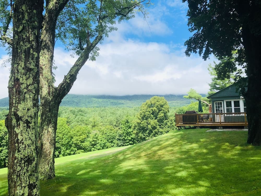 Garden view