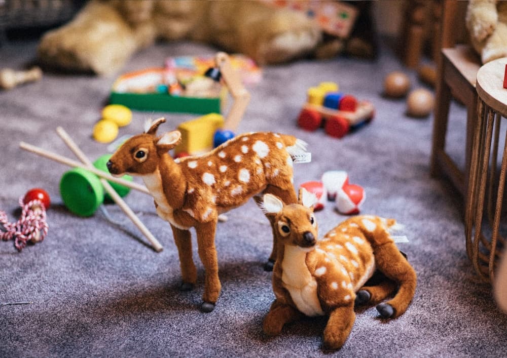 Children's area