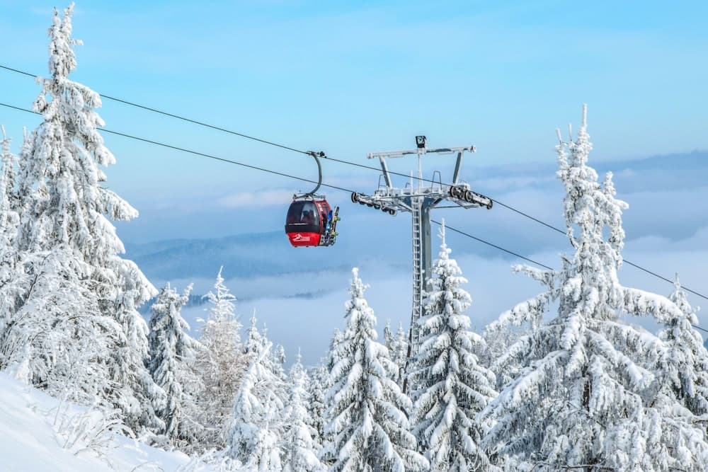 Skiing