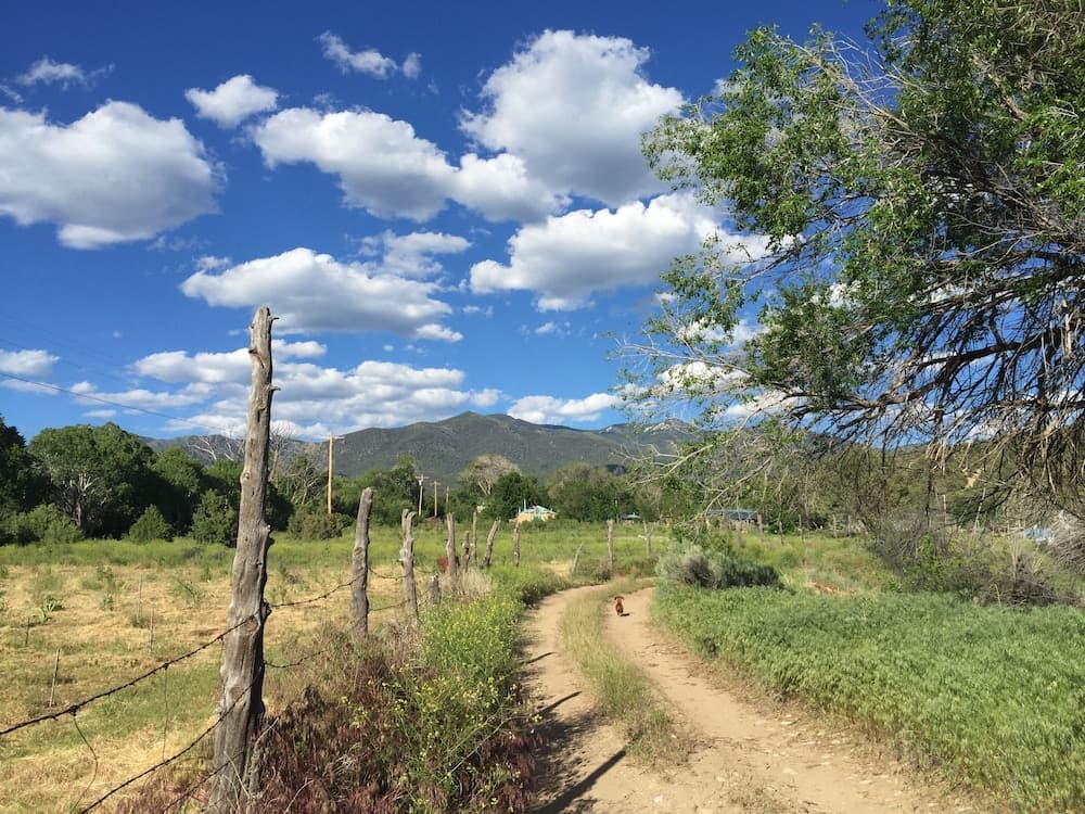 View from property