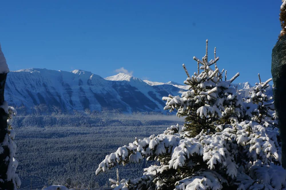 Mountain view