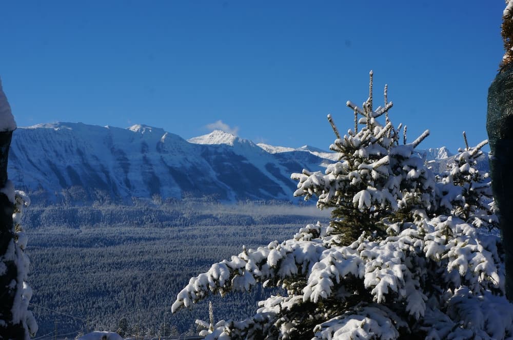 Mountain view