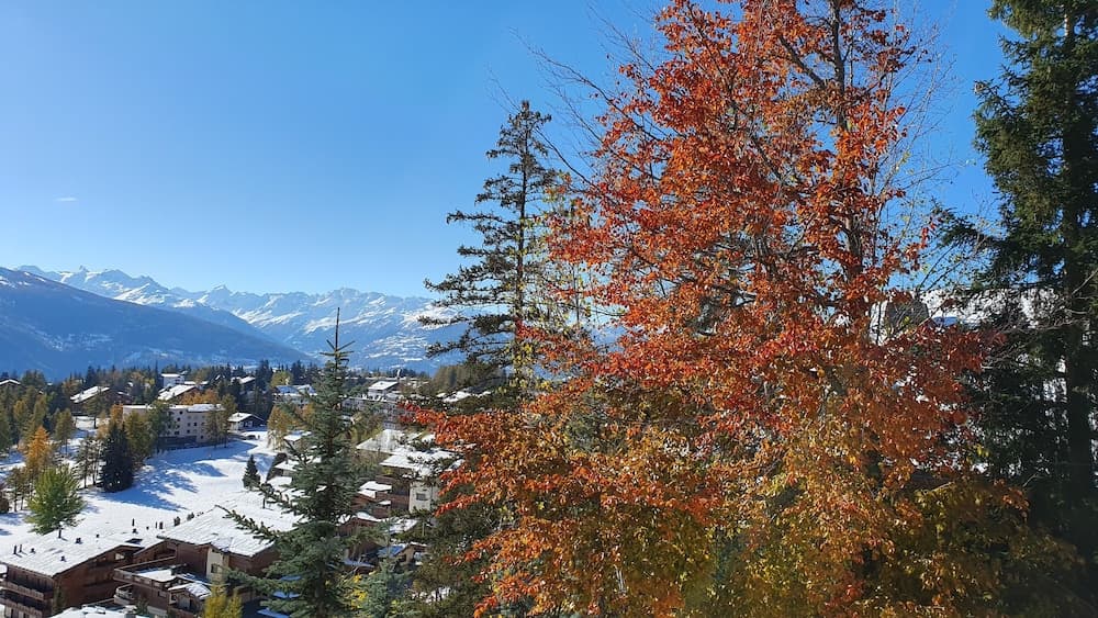 View from property