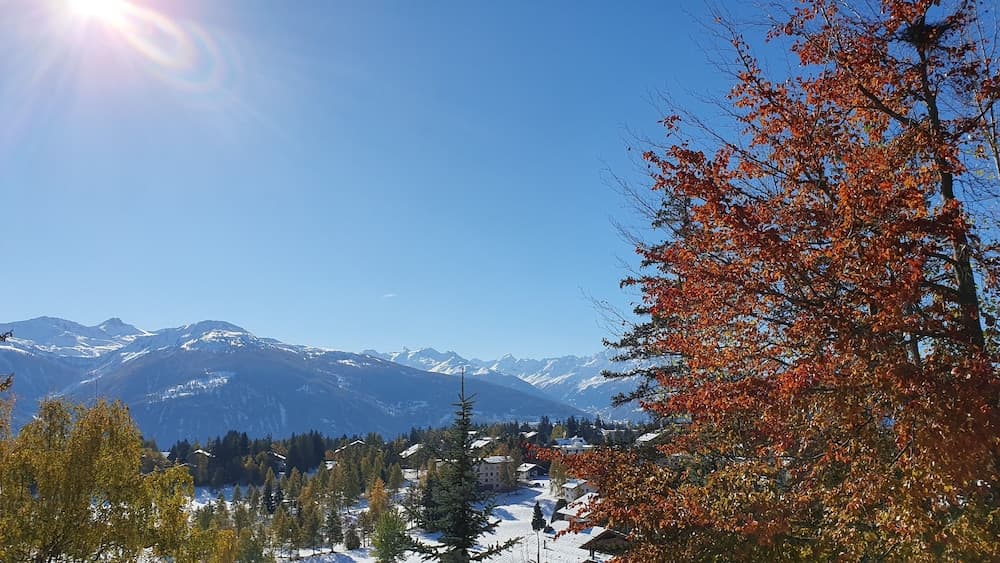 View from property