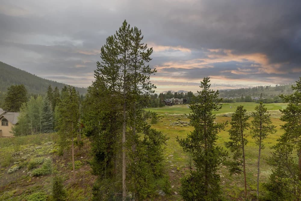 View from property