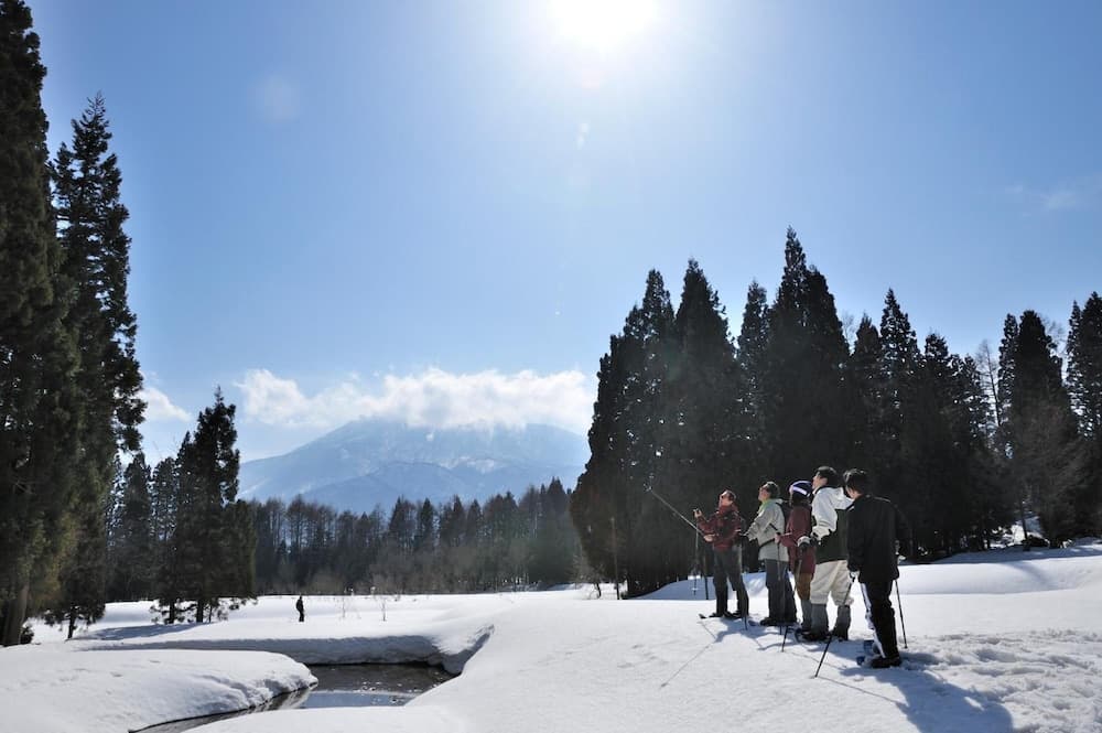 Snow and ski sports