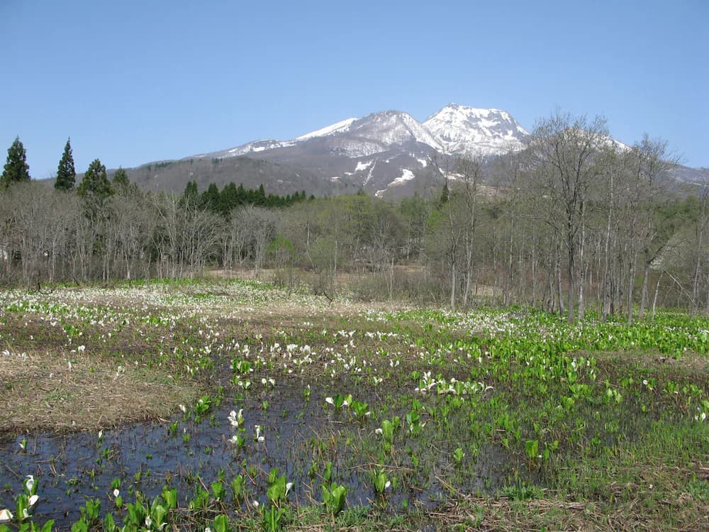 Land view from property