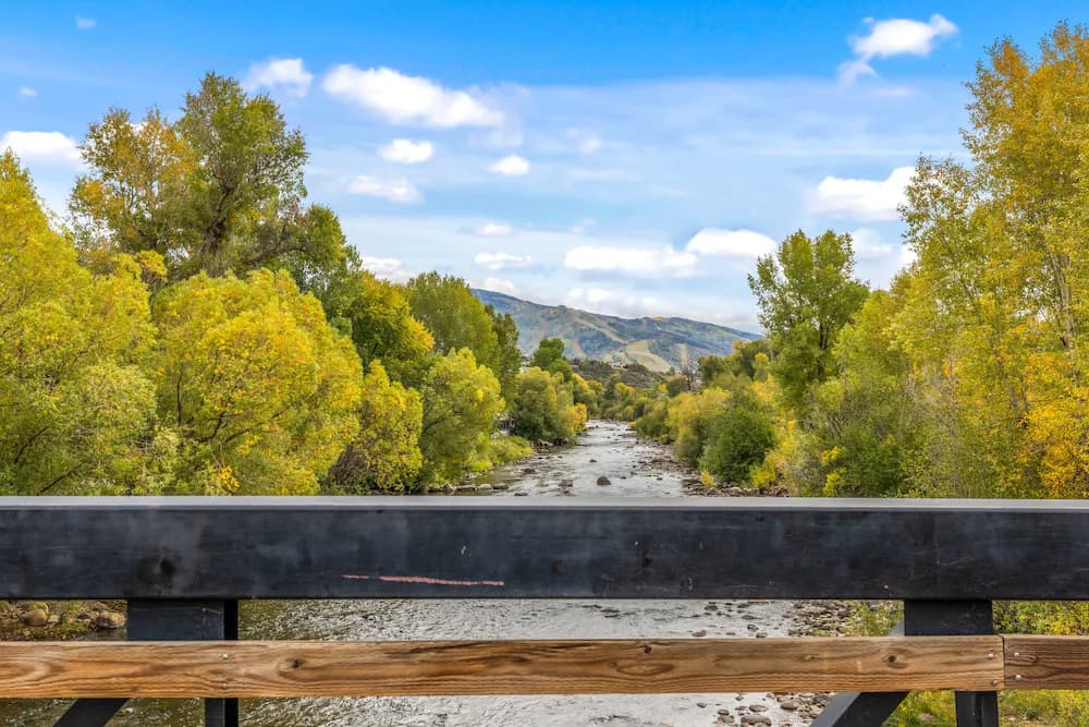 View from property