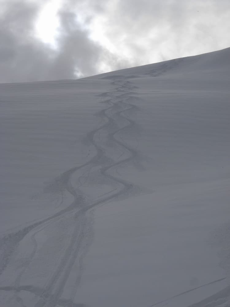 Skiing