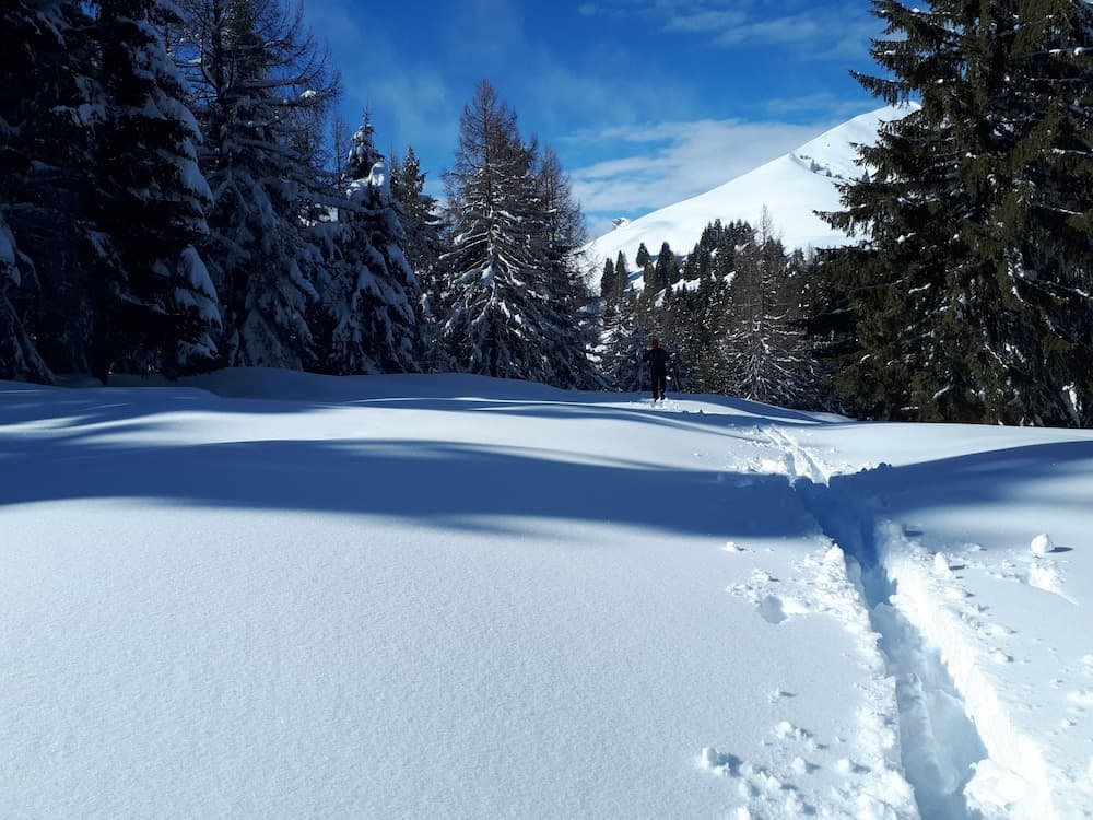 Snowshoeing